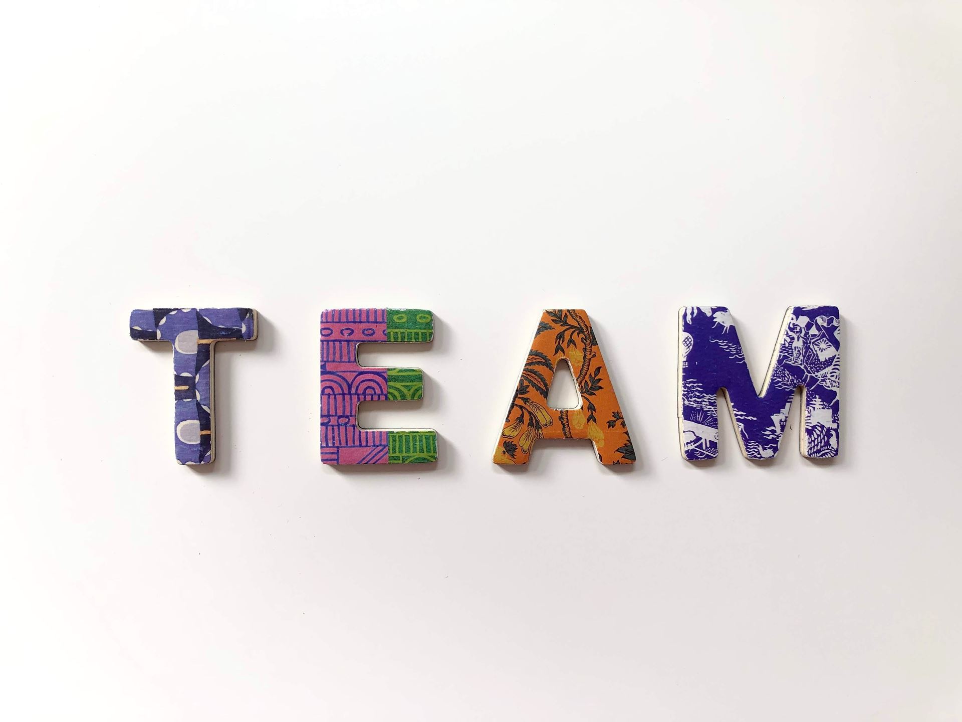 Meet the team